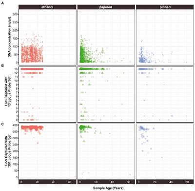 Predictors of sequence capture in a large-scale anchored phylogenomics project